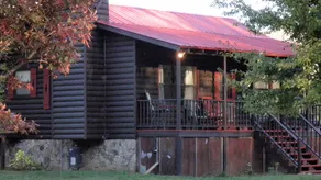Nottely River Cabin-Forellenangeln-5 Minuten. nach Vogel St. Park - Image 4
