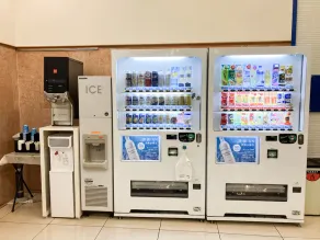 Toyoko Inn Sakudaira-eki Asama-guchi - Image 4