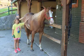Familie- og kæledyrsvenlig Ranch Marina med heste - Image 5