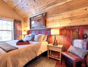 PRIVATE Updated Cabin GAME ROOM & PELOTON - Image 5