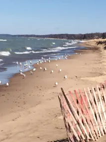 Walking Distance To Beach And Shops - Image 5