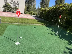 LedowoHouse Vintage 15 Private Golf Pool - Image 4
