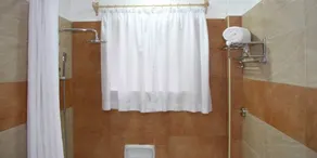 Elsa Hotel Meru - Image 4