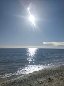 T2 in the water!<br>Frontignan plage, between Montpellier and Sète  - Image 5