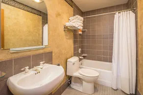 Shoshone Ski-In/Out w/ amazing views, community hot tub/pool/fitness center & fireplace! - Image 2