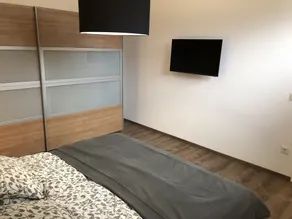 Apartment cherry wood - Image 5