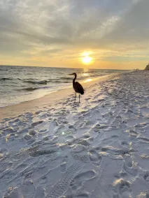 VRBO Rated #1 Sandy Key 424 Includes ground floor storage with chairs & umbrella - Image 5