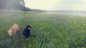 Off Grid Glamping Kabine. 45 min von North Austin 5 min zum Lake Travis - Image 2