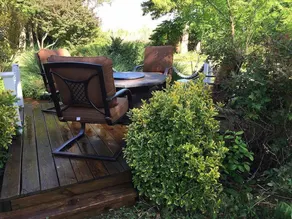 THE BAYWOOD BED AND BREAKFAST - Image 5