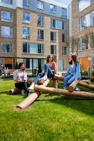 The Westwood Summer Accommodation - Image 2