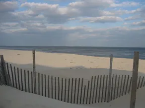 Familie sjov, 6 huse fra stranden, fantastisk beliggenhed! - Image 5