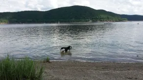 Férias diretamente no Parque Nacional Kellerwald Edersee - Image 2