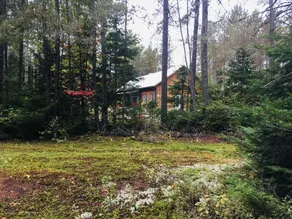 Cozy Suite 15 min away from Mt Tremblant. Pet Friendly - Image 5