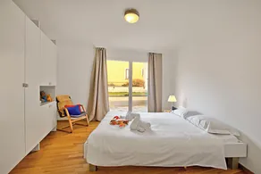 Ô Lac Ascona with Garden - Happy Rentals - Image 4