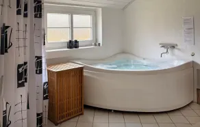 Superbe maison à Hemmet avec sauna - Image 4