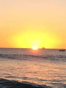 Sunset Oasis - Image 5