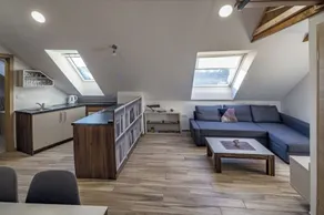 Cozy loft apartment in the heart of Kamnik-Savinja alps - Image 5