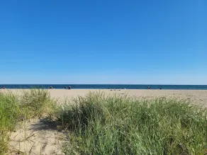 Craigville Beach at your doorstep! - Image 4