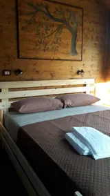 \"Olive Treehouse\" - Image 4