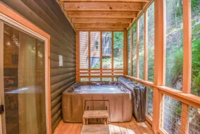 Righty is 5BR/6BA private pool, game room, theater - Image 3