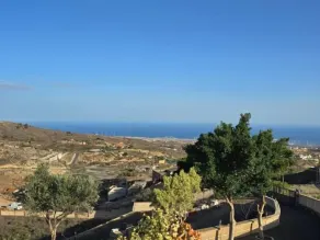 Finca Los Blanquitos Amazing with 3 000 m2 of land - Image 2
