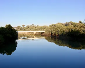 Grevillea King Suite. Inlet Waters Escape. Stroll the inlet & nature boardwalk. - Image 4