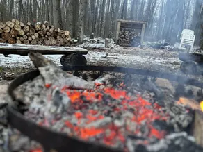Secluded Wilderness Cabin With Hiking Trail, Fire Pit, and Sauna - Image 2