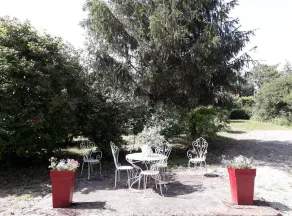 Moulin de la Coudre - Tronchy - Image 3