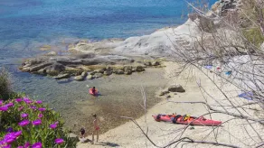 Cotoncello in una posizione panoramica - Goelba - Image 3