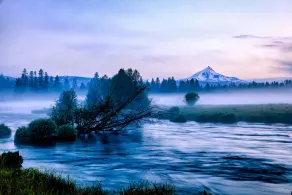 House on Metolius - Image 5