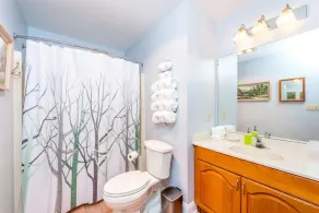 Villa at Stony Woods Estate near Asheville - Image 3