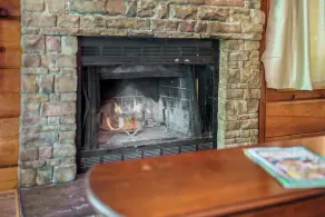 Pet-Friendly Cabin, In-Room Jacuzzi, King Bed, WiFi - Image 3