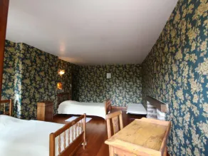 17th Century Rustic House with Garden, Fireplace and Parking - Image 5