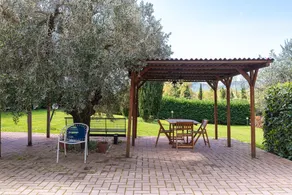 Agriturismo Il Ponte - Frantoio - Image 5