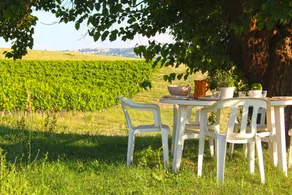Beautifully restored farmhouse in Montecassiano countryside - Image 4