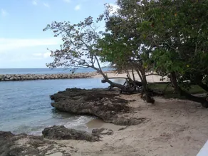 Condominio en una propiedad cerrada pintoresca y relajante en Negril - Image 3