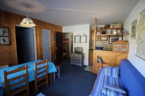 10m from ski slopes, 6th floor, view ski slopes, balcony, tv, ski locker, 35m², Auris en Oisans - Image 4