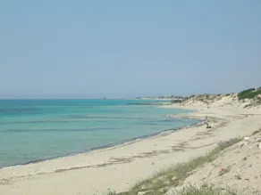 Seaside villa with garden in Salento - Image 5