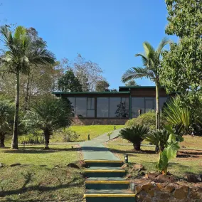 Tupa Lodge selva y río  - Image 4