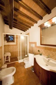 Vacation apartments in the countryside near Cortona - Image 4