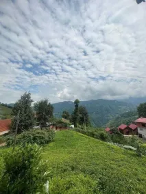 Yeşilköy pansiyon bungalov - Image 2