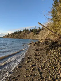 3br w/ beach access, large garden, beautiful views - Image 5