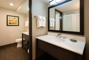 Premiere Suite With Access to Pools, Hot Tub, Spa - Image 3