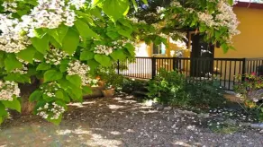 1 BR guest house overlooking a beautiful vineyard  - Image 3