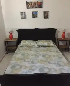 HERMOSA CASA DE VERANO CERCA A GIRARDOT - Image 5