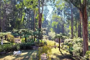 Fern Cottage - Romantic spa cottage in Mount Dandenong - Image 5