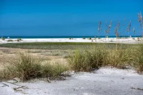 Shells and Sunshine - Image 4