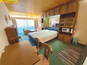 Studio med utsikt över Tauplitzalm - Image 5