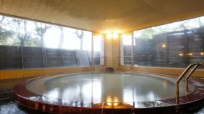 Resorpia Kumihama - Image 5