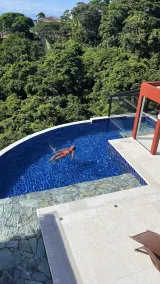 Stanzani's House, your beach house in Búzios - 8 minutes from Orla Bardot. - Image 4